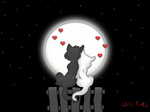 Love moon cats1